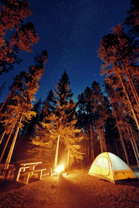 Tent Camping in the Wild by Dream Moto